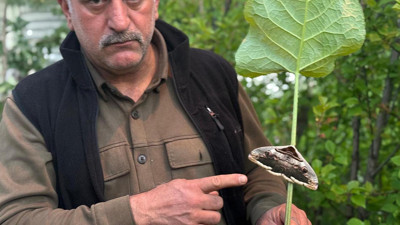 Bahçesini temizlerken hayatının sürprizini yaşadı!