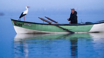 Marmara Bölgesi'nin gizli cennetine Yaren leylek akını