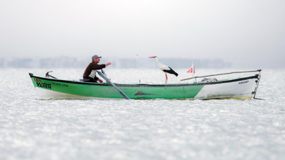 Adem amca ile bir kez daha kavuşan Yaren leyleğin fotoğrafına Avrupa'dan ödül