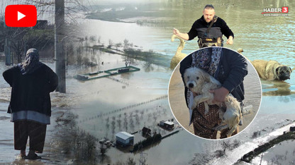 Turuncu kod uyarısı yapılan Meriç Nehri taştı: Çiftlikler ve tarım alanları sular altında!