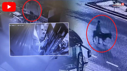 Forkliftle soygun yaptı, eşekle kaçtı! Çılgın hırsız kamerada