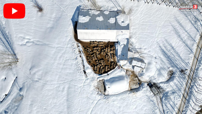 İstanbul'u terk edip köyüne döndü, şimdi bir serveti yönetiyor!