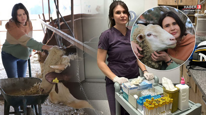 Mesaide Hasta Bakıyor, Tatilde Koyun Doğurtuyor: Hemşire Rümeysa'nın İki Dünyası