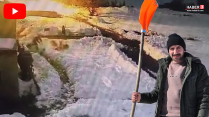 Eli kürekli vatandaş, aç kurtları köye indiklerine pişman etti