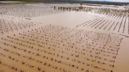 Bir şehir felaketi yaşıyor: Binlerce dönüm tarım arazisi sulara gömüldü