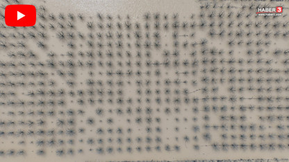 Yazın en lezzetlilerini unutun... Yüzlerce dönüm meyve bahçesi sular altında kaldı!