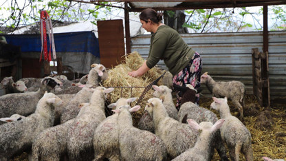 Babasının hediyesi hayatını değiştirdi: Şimdi çiftliği var!
