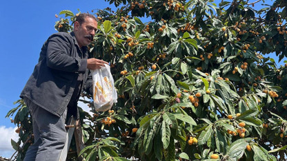 Köylünün geçim kaynağıydı, artık para etmiyor! Hepsini bedava dağıttı