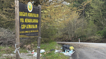 Türkiye'nin yeşil cennetinde pes dedirten görüntüler