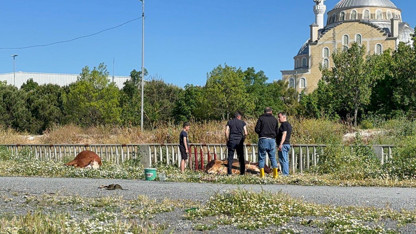 İstanbul'da sokaklar mezbahaya döndü! Kural tanımayanlara ceza yağdı