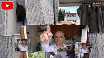 Balkondaki davetsiz misafiri gören gözlerine inanamadı... Ev sahibi ona isim bile koydu!