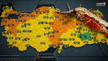 Yaz gecelerini uykusuz geçirten sivrisinek kabusunda Türkiye'nin en riskli illeri belli oldu
