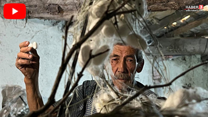 Evinin altında yetiştiriyor: 40 günde 216 bin TL kazandı!