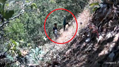 Fotokapana yakalandılar! CHP'li ilçe başkanı ve oğluna gözaltı