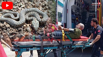 Doğa yürüyüşünde yılan saldırısı! İmdadına jandarma helikopteri yetişti