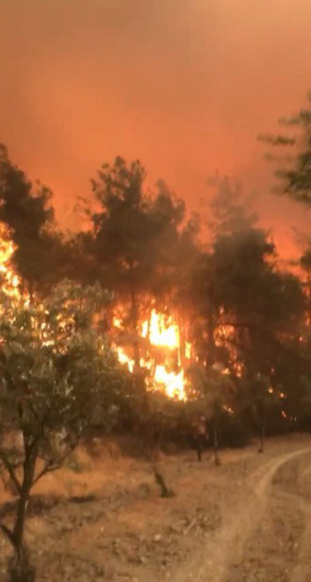 Belediye başkanı da orman yangınında alevlerin ortasında kaldı - Resim: 2