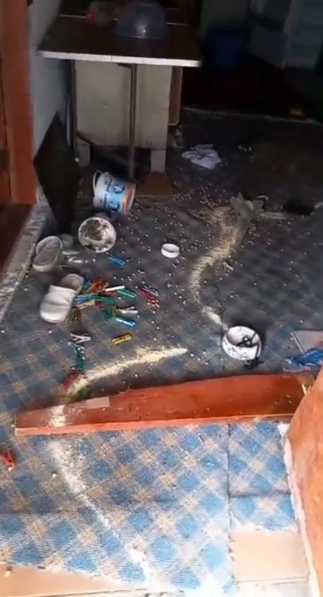 Karadenizli vatandaşın ayıya sitemi kahkahaya boğdu - Resim: 1