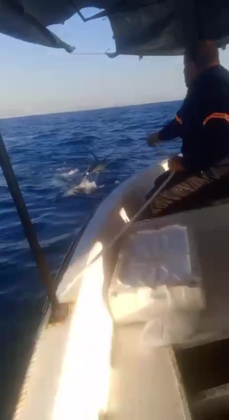 Dev köpekbalığı Türk balıkçıya kabusu yaşattı: O anlar saniye saniye kamerada - Resim: 1