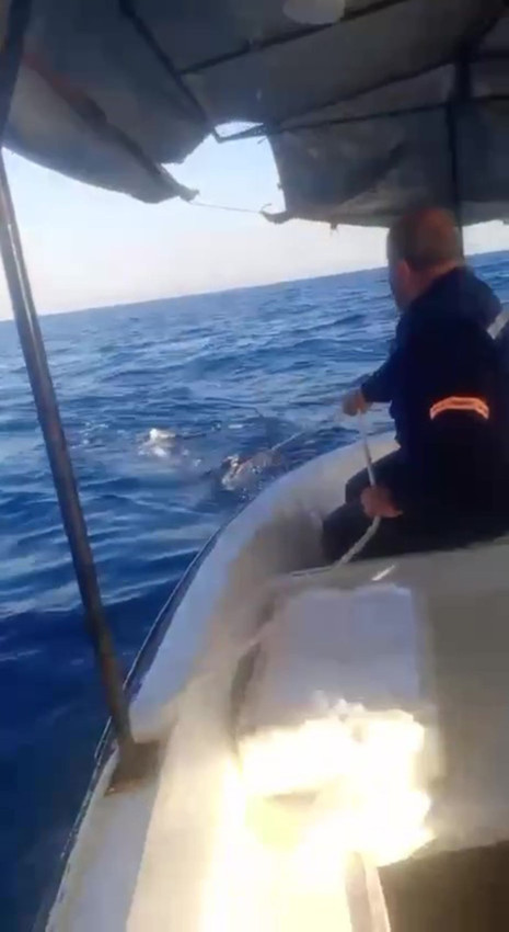 Dev köpekbalığı Türk balıkçıya kabusu yaşattı: O anlar saniye saniye kamerada - Resim: 4