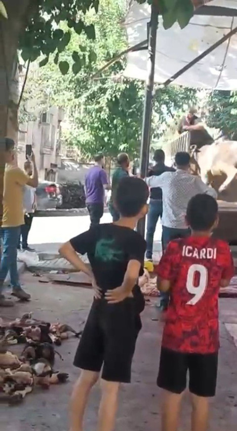 Kızgın kurbanlık boğa kasaba hayatının kabusunu yaşattı - Resim: 3