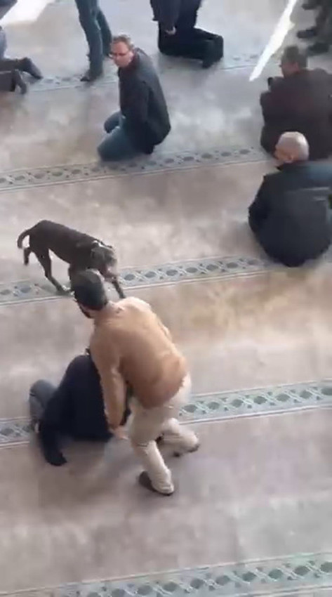 Cuma vakti camide pitbull dehşeti kamerada: Vaaza daldı, camini için bir anda karıştı - Resim: 4
