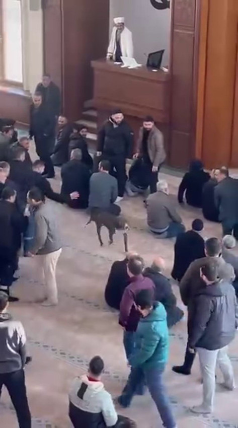 Cuma vakti camide pitbull dehşeti kamerada: Vaaza daldı, camini için bir anda karıştı - Resim: 2