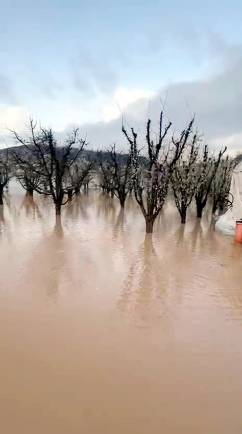 Turizm başkentimiz çamura battı; dereler taştı, seraslar ve meyve bahçeleri sular altında! - Resim: 4