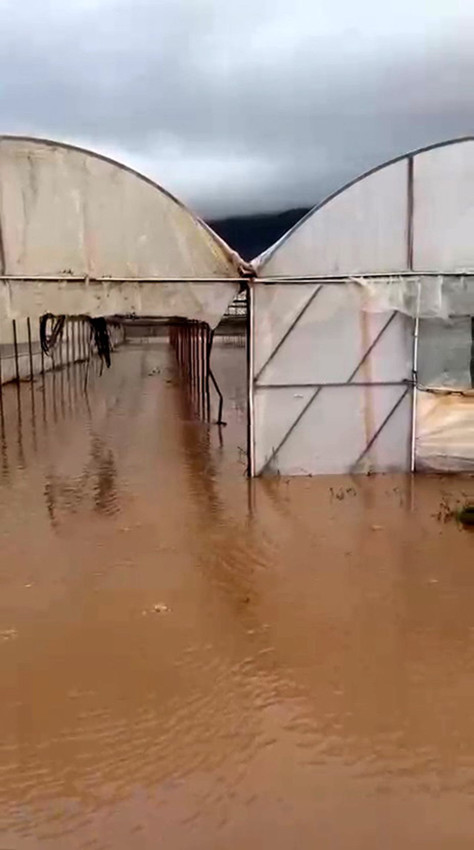 Turizm başkentimiz çamura battı; dereler taştı, seraslar ve meyve bahçeleri sular altında! - Resim: 3