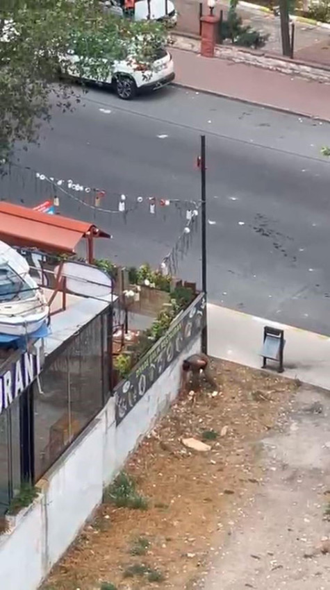 Esencılıs'ta sıradan bir gün... Yoldan geçen araçları taşladı - Resim: 1