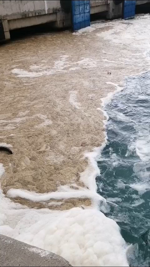 Mide bulandıran müsilaj geri döndü; balıkçılar denize açılamadı - Resim: 1