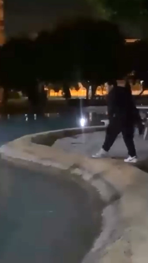 Vicdansızlar, sokak kedisini defalarca süs havuzuna attılar - Resim: 2