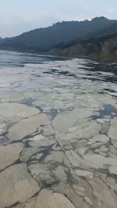 Mide bulandıran müsilaj geri döndü; balıkçılar denize açılamadı - Resim: 2