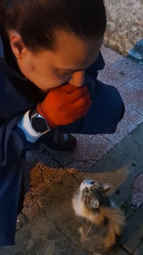 Anne kedi yavrusunu ağzında itfaiyeye kadar taşıyıp yardım istedi - Resim: 2