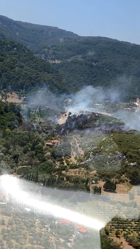 İzmir'de orman yangını - Resim: 1