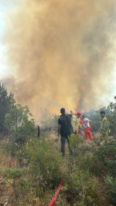 Bursa'da orman yangını! Peş peşe patlama meydana geldi - Resim: 4