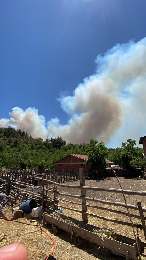 Önce Bursa şimdi de Sakarya... Alevlerin yaklaştığı 2 mahalle boşaltıldı - Resim: 4