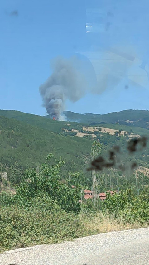 Balıkesir'de orman yangını - Resim: 2