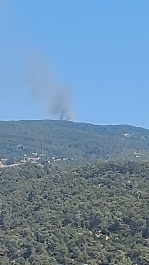 Aydın'da orman yangını - Resim: 1