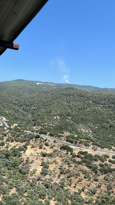 Aydın'da orman yangını - Resim: 2
