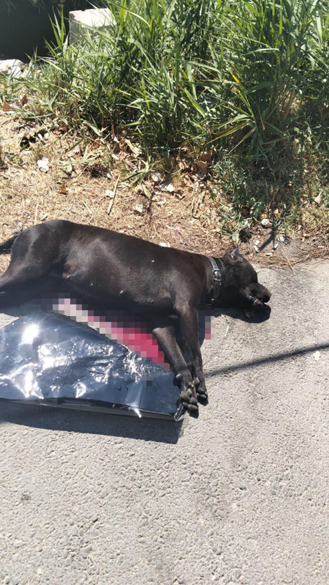 İstanbul'da güpegündüz silahlı saldırı: Yaralılar var - Resim: 3