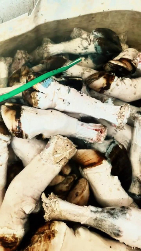 Bunları vatandaşa yedireceklerdi! Mide bulandıran operasyon - Resim: 3