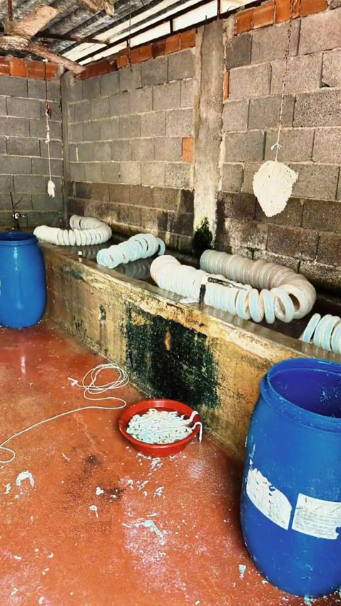 Bunları vatandaşa yedireceklerdi! Mide bulandıran operasyon - Resim: 4