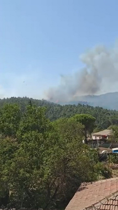 Çanakkale Gelibolu'da orman yangını - Resim: 2