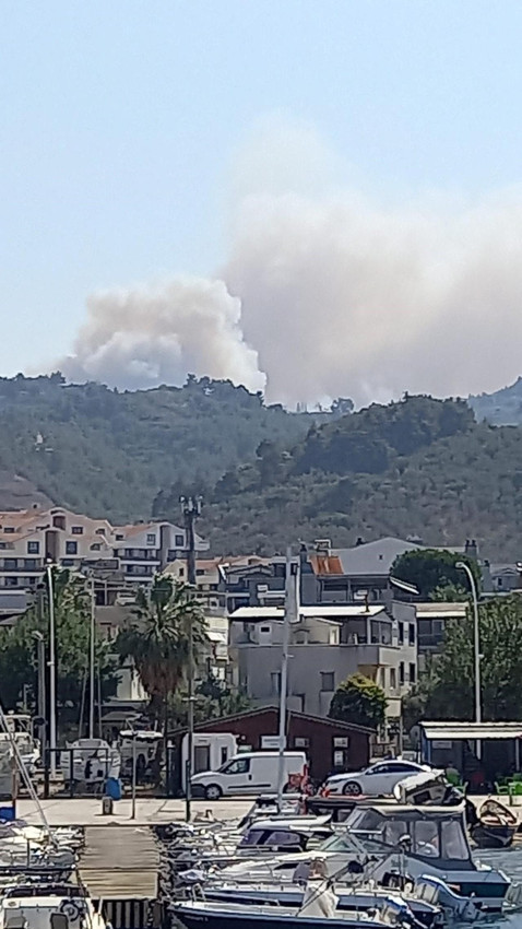 Bursa'da ormanlık alanda büyük yangın - Resim: 1