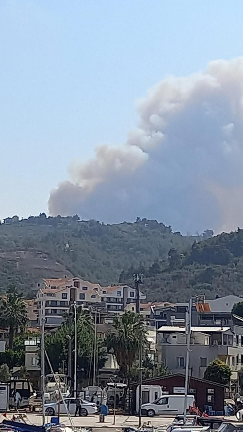 Bursa'da ormanlık alanda büyük yangın - Resim: 2