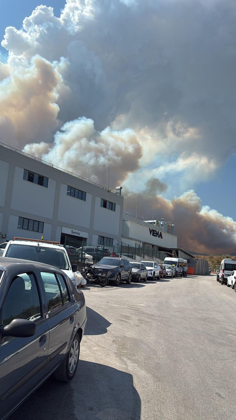 Bursa'da ormanlık alanda büyük yangın - Resim: 4