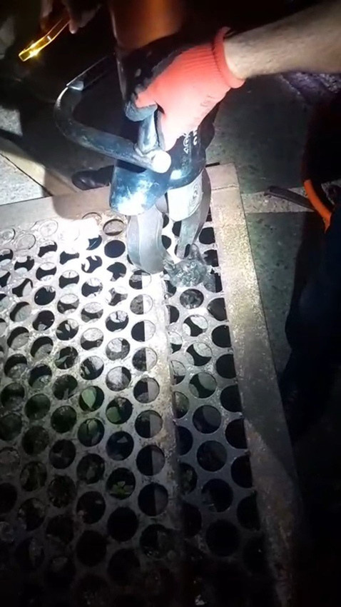 Mazgaldan kurtarıp, adını da Mazgal koydular - Resim: 2