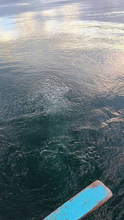 Kuraklıktan yok olmaya başlayan Sapanca Gölü'nde su fokurdamaya başladı - Resim: 1