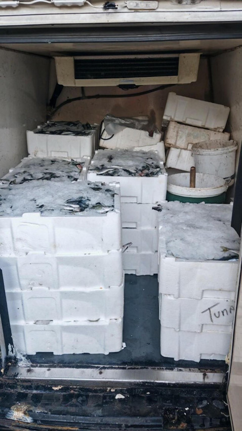 Çanakkale'de yarım tondan fazla balığa el konuldu - Resim: 3