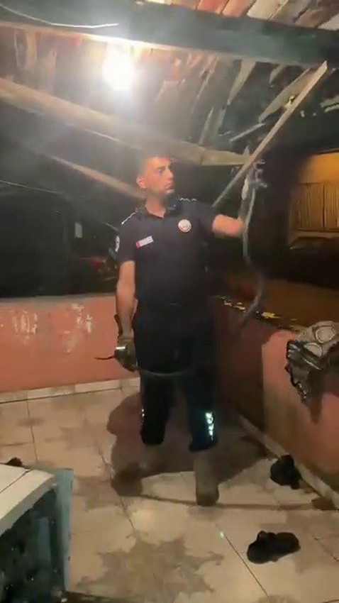 Bulaşık makinesinden 2 metrelik dev bir karayılan çıktı - Resim: 4